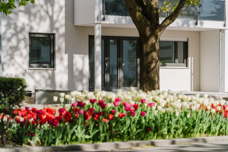 Neubau! Attraktive 4-Zimmerwohnung mit schönem Balkon